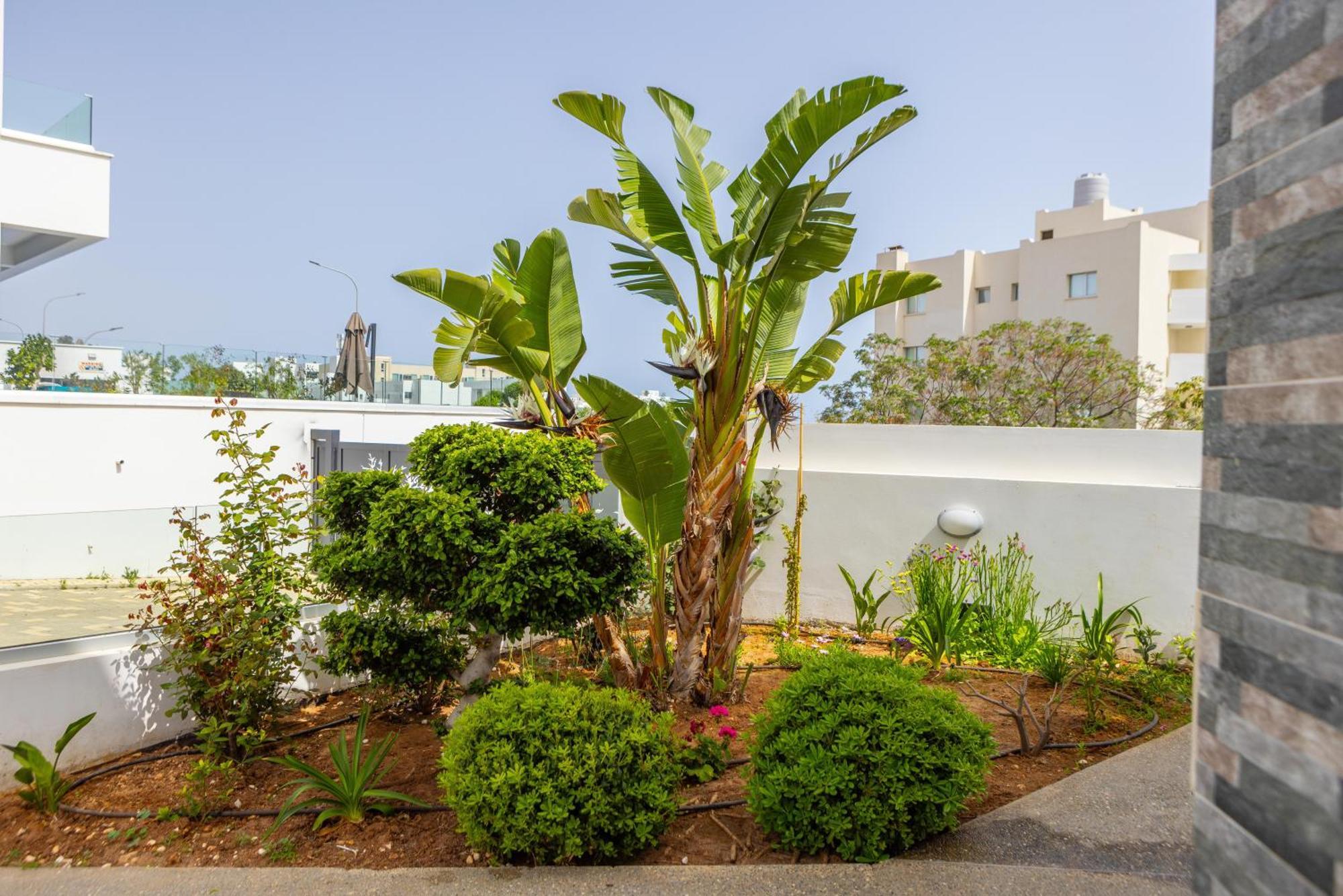 Fig Tree Bay Residences 5 Протарас Экстерьер фото